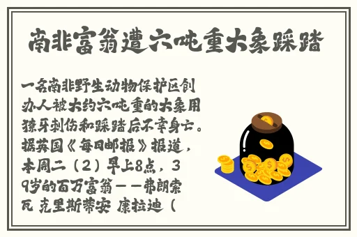 久久精品国产免费观看频道